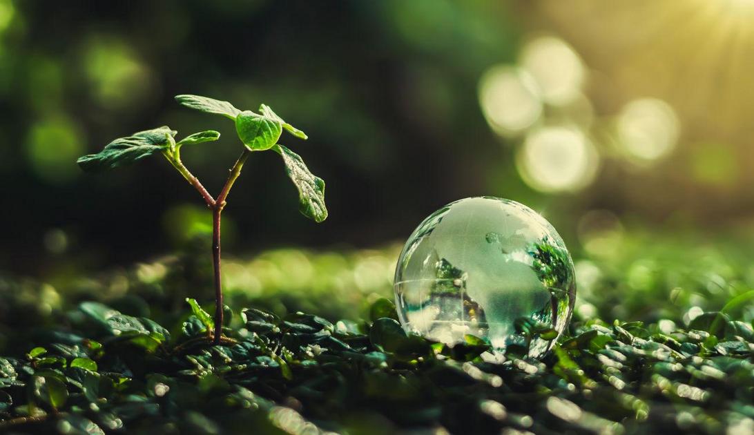 Viagem mais sustentável